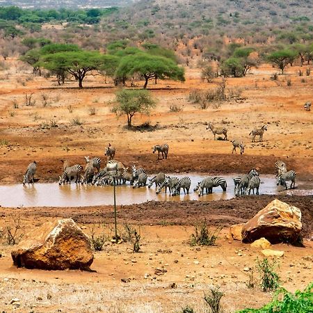 Kilaguni Serena Safari Lodge Tsavo Экстерьер фото