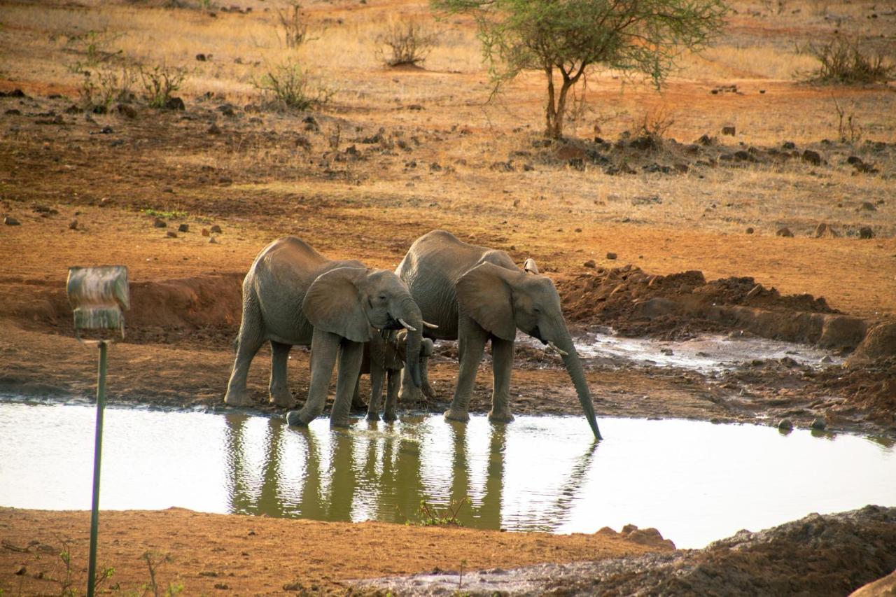 Kilaguni Serena Safari Lodge Tsavo Экстерьер фото
